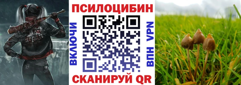 Псилоцибиновые грибы GOLDEN TEACHER  Купить  Новоузенск 