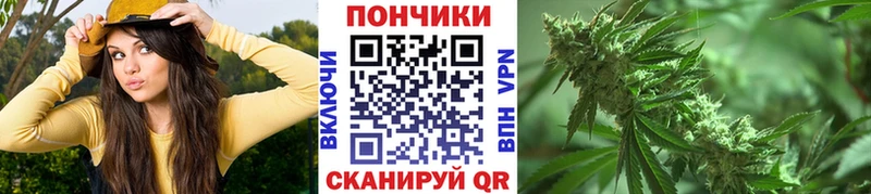 Купить закладки  Новоузенск  Бошки Шишки индика 